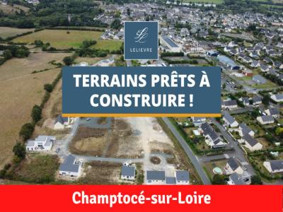 Vente Terrain CHAMPTOCE-SUR-LOIRE 49123