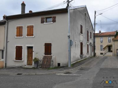 Vente Maison 10 pices THIAUCOURT-REGNIEVILLE 54470