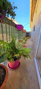 Vente Appartement 4 pices PORT-LA-NOUVELLE 11210