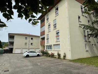 Vente Appartement 3 pices ARZAY 38260