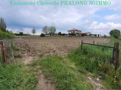 Vente Terrain BAS-EN-BASSET 43210