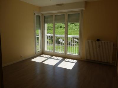 Location Appartement 3 pices LA-BRESSE 88250