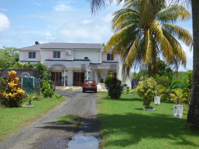 Vente Maison 5 pices MORNE-A-L'EAU 97111