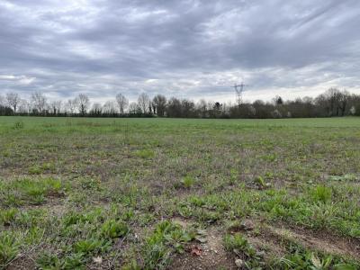 Vente Terrain SAINT-SULPICE-DES-LANDES 44540