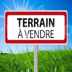 Vente Terrain LIRE 49530