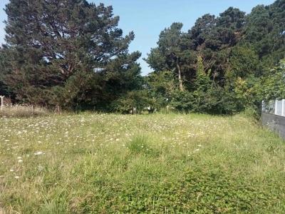 Vente Terrain PLAINE-SUR-MER 44770