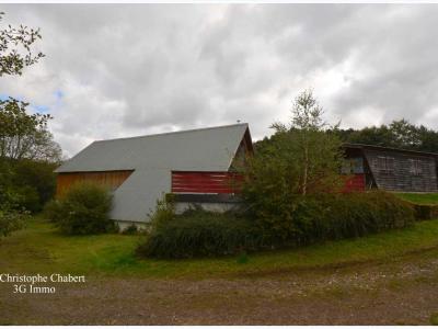 Vente Local commercial SAINT-SAUVES-D'AUVERGNE 63950