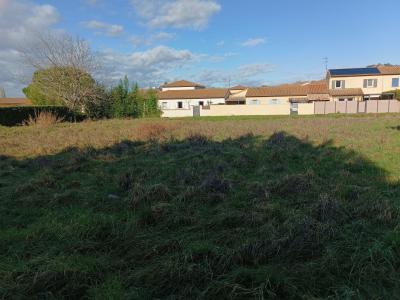 Vente Terrain MONTOISON 26800