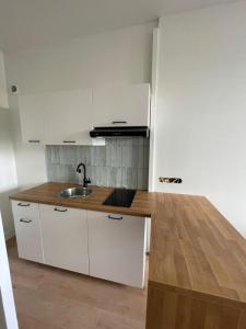 Vente Appartement 2 pices VILLEURBANNE 69100