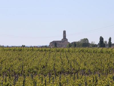 Vente Terrain LUDON-MEDOC 33290