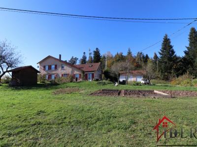 Vente Maison 9 pices CHAMPDRAY 88640