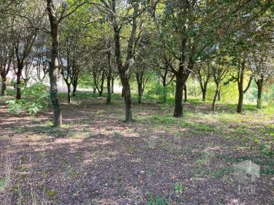 Vente Terrain MONTBOUCHER-SUR-JABRON 26740