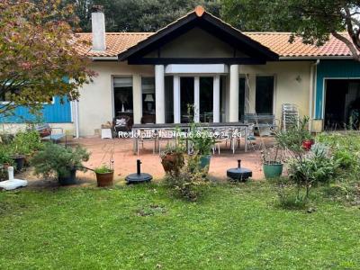 Vente Maison 5 pices LACANAU 33680