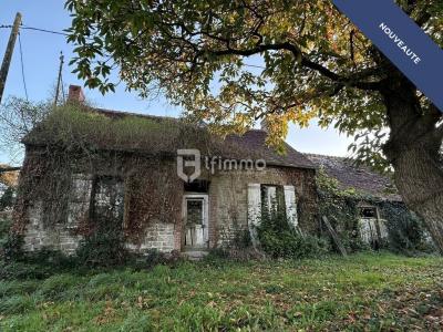 Vente Maison 4 pices CHAPELLE-D'ANDAINE 61140