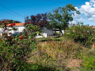 Vente Terrain BRETIGNOLLES-SUR-MER 85470