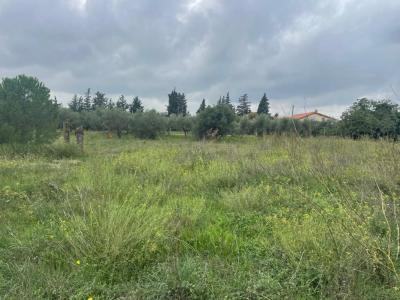 Vente Terrain JONQUIERES-SAINT-VINCENT 30300