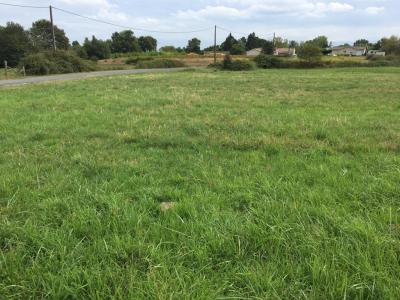 Vente Terrain SAINT-ANDRE-DE-CUBZAC 33240