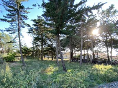 Vente Terrain BRETIGNOLLES-SUR-MER 85470