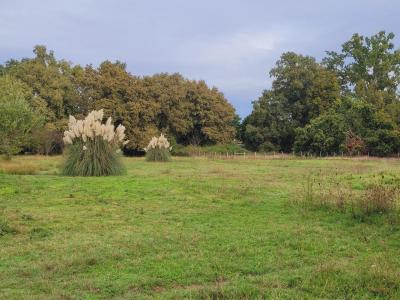 Vente Terrain LEOGNAN 33850