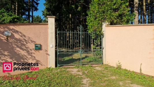 Vente Domaine forestier SAINT-VINCENT-DE-BOISSET 42120