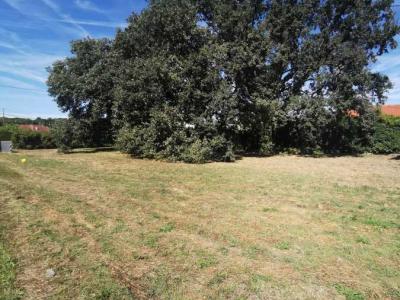 Vente Terrain AUSSONNE 31840