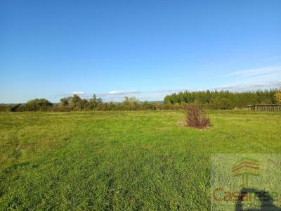 Vente Terrain SAINT-NICOLAS-DE-LA-GRAVE 82210