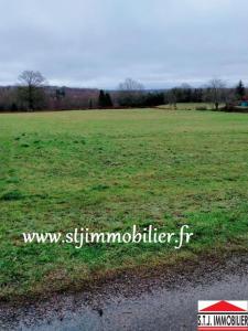 Vente Terrain BRIGUEUIL 16420