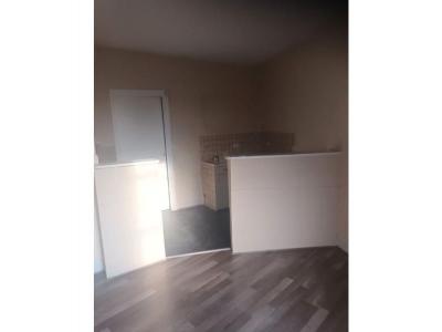 Location Appartement 2 pices SAINT-VERAND 69620