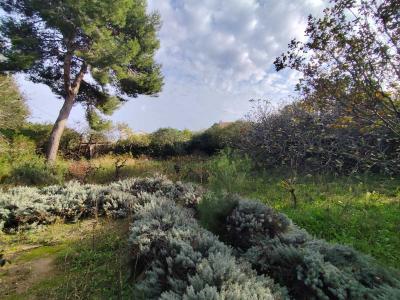 Vente Terrain MARSEILLAN 34340