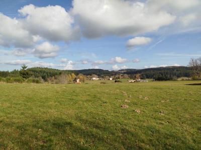 Vente Terrain SAINT-GERMAIN-L'HERM 63630