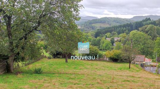 Vente Terrain SAINT-REMY-SUR-DUROLLE 63550