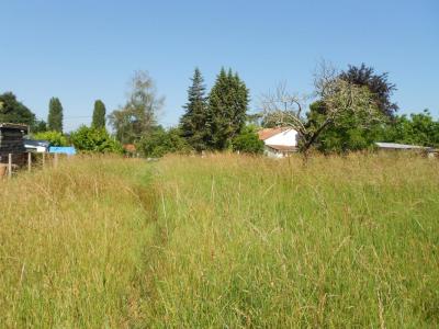 Vente Terrain SAINT-GERMAIN-DU-PUCH 33750