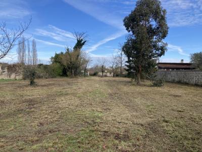 Vente Terrain SAINT-VIVIEN-DE-MEDOC 33590