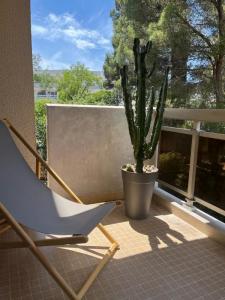 Location Appartement 3 pices MARSEILLE 13000