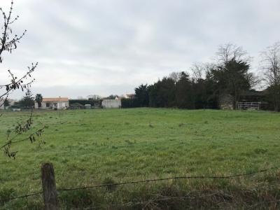 Vente Terrain SALLES-SUR-MER 17220