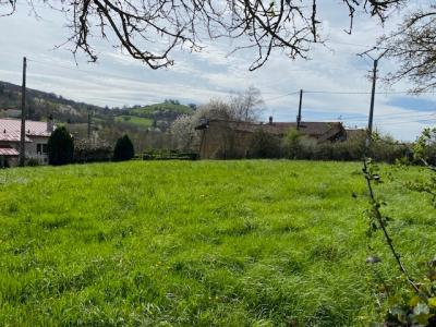 Vente Terrain SAINT-PIERRE-DE-BRESSIEUX 38870