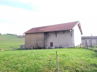 Vente Maison 2 pices ABRETS 38490