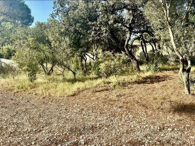 Vente Terrain VILLENEUVE-LES-AVIGNON 30400