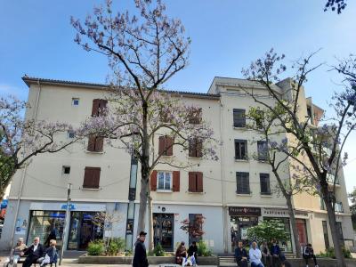 Vente Appartement 2 pices SAINT-FONS 69190