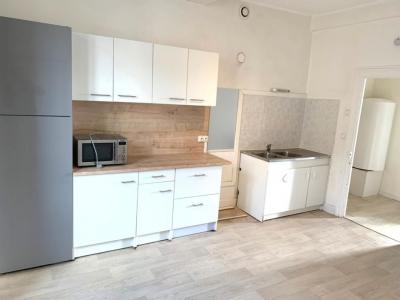 Location Appartement 2 pices BRIENNON 42720