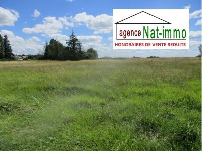 Vente Terrain CHUELLES 45220