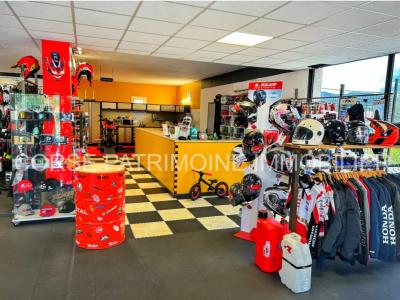 Vente Local commercial SAN-NICOLAO 20230