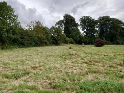 Vente Terrain NEUFCHATEL-EN-BRAY 76270