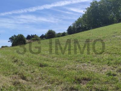 Vente Terrain GUICHE 64520