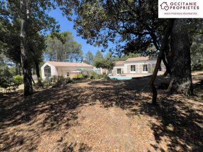 Vente Prestige MALVES-EN-MINERVOIS 11600