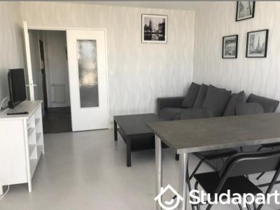 Location Appartement RICHE 37520