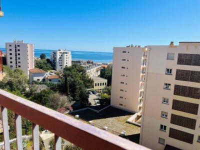 Location Appartement 2 pices VILLE-DI-PIETRABUGNO 20200