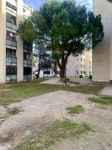 Location Appartement AVIGNON 84000