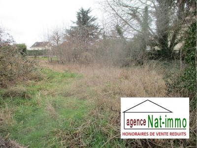 Vente Terrain EGREVILLE 77620