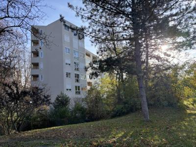 Vente Appartement 4 pices LYON-7EME-ARRONDISSEMENT 69007